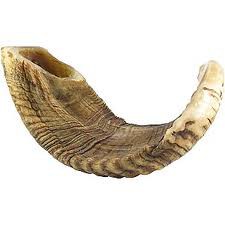 shofar